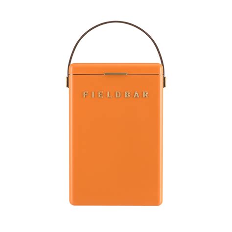 Fieldbar Drinks Box - Orchard Orange