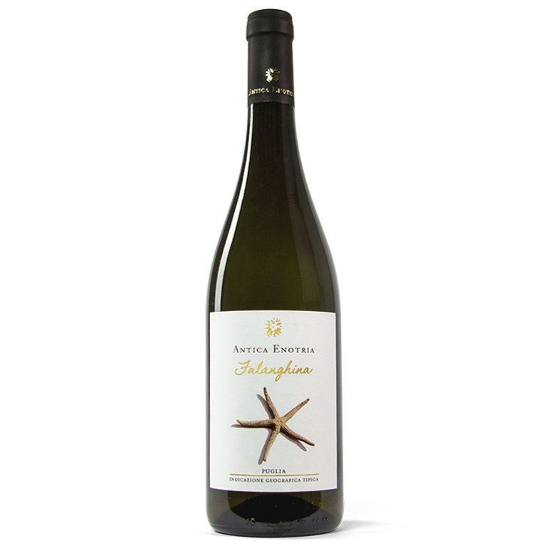 Antica Enotria - Fiano Bianco Puglia  IGT 2022