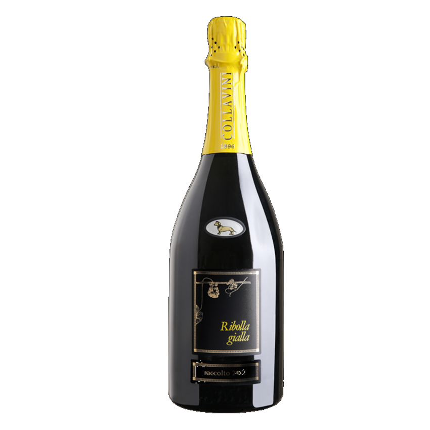 Eugenio Collavini - Ribolla Gialla Brut Millesime'   2015